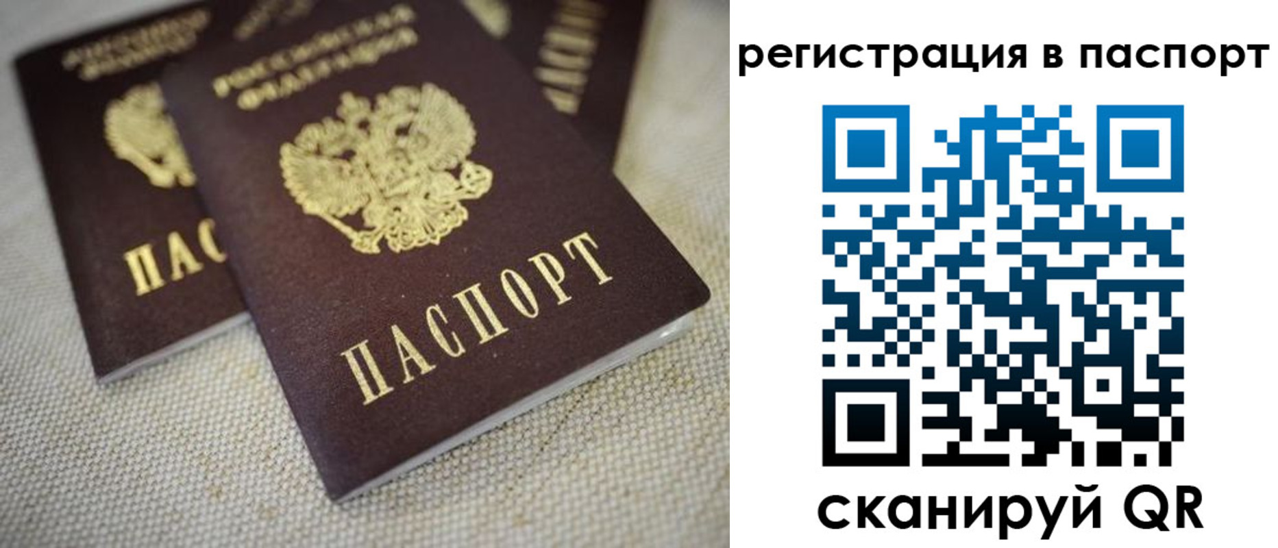 прописка гарантия в Челябинской области
